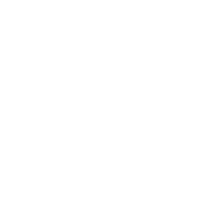 Portland Luggage